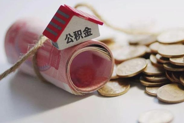 单县为啥公积金黄牛可以取出来呢（公积金专业提取代办）